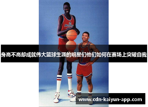 身高不高却成就伟大篮球生涯的明星们他们如何在赛场上突破自我