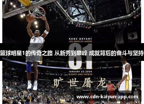 篮球明星1的传奇之路 从新秀到巅峰 成就背后的奋斗与坚持